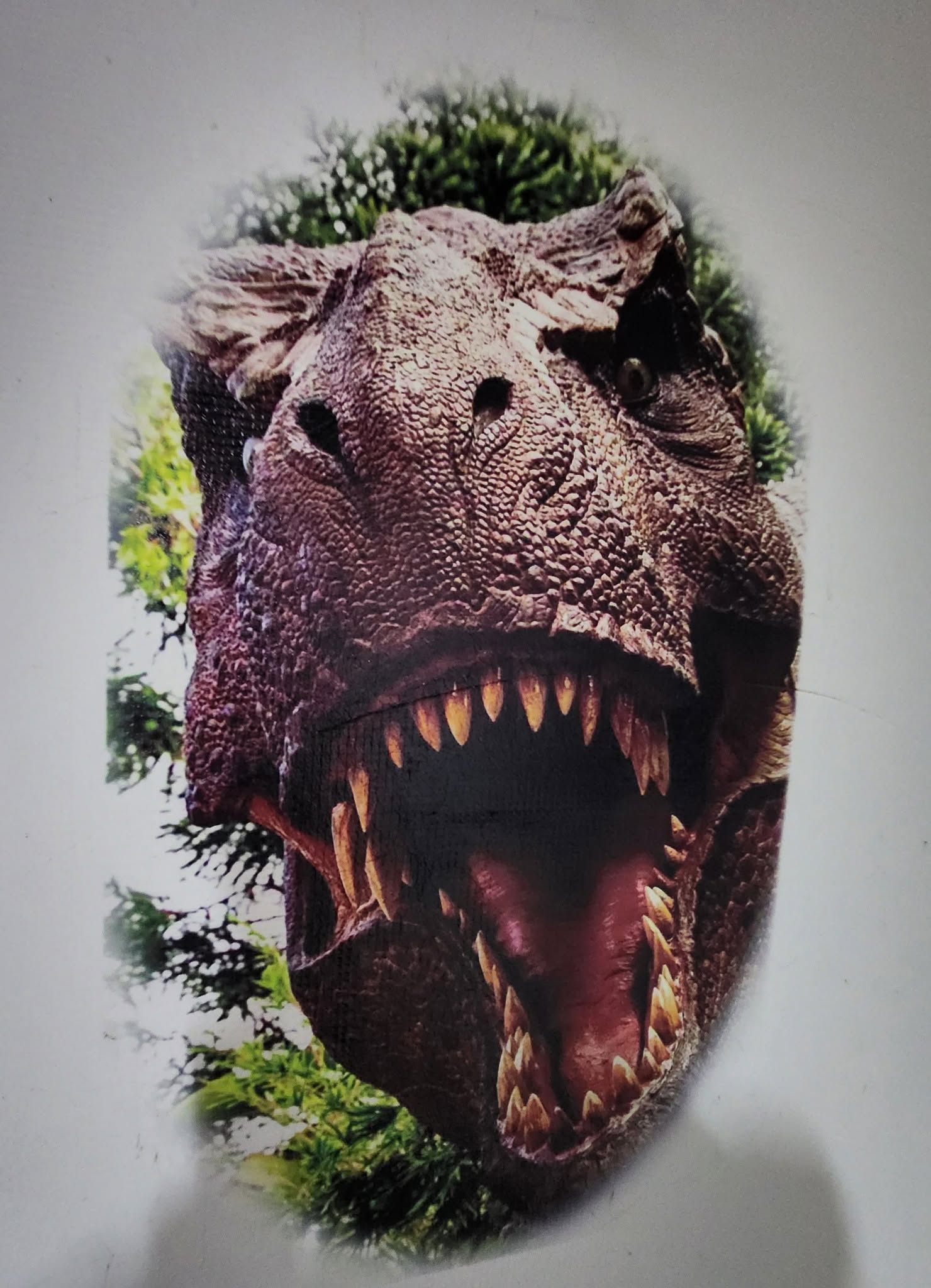Dinoszaurusz falnyomtatás